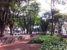 Domingo de sol com nuvens em Maringá